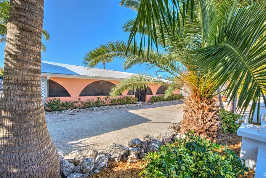 The Oasis