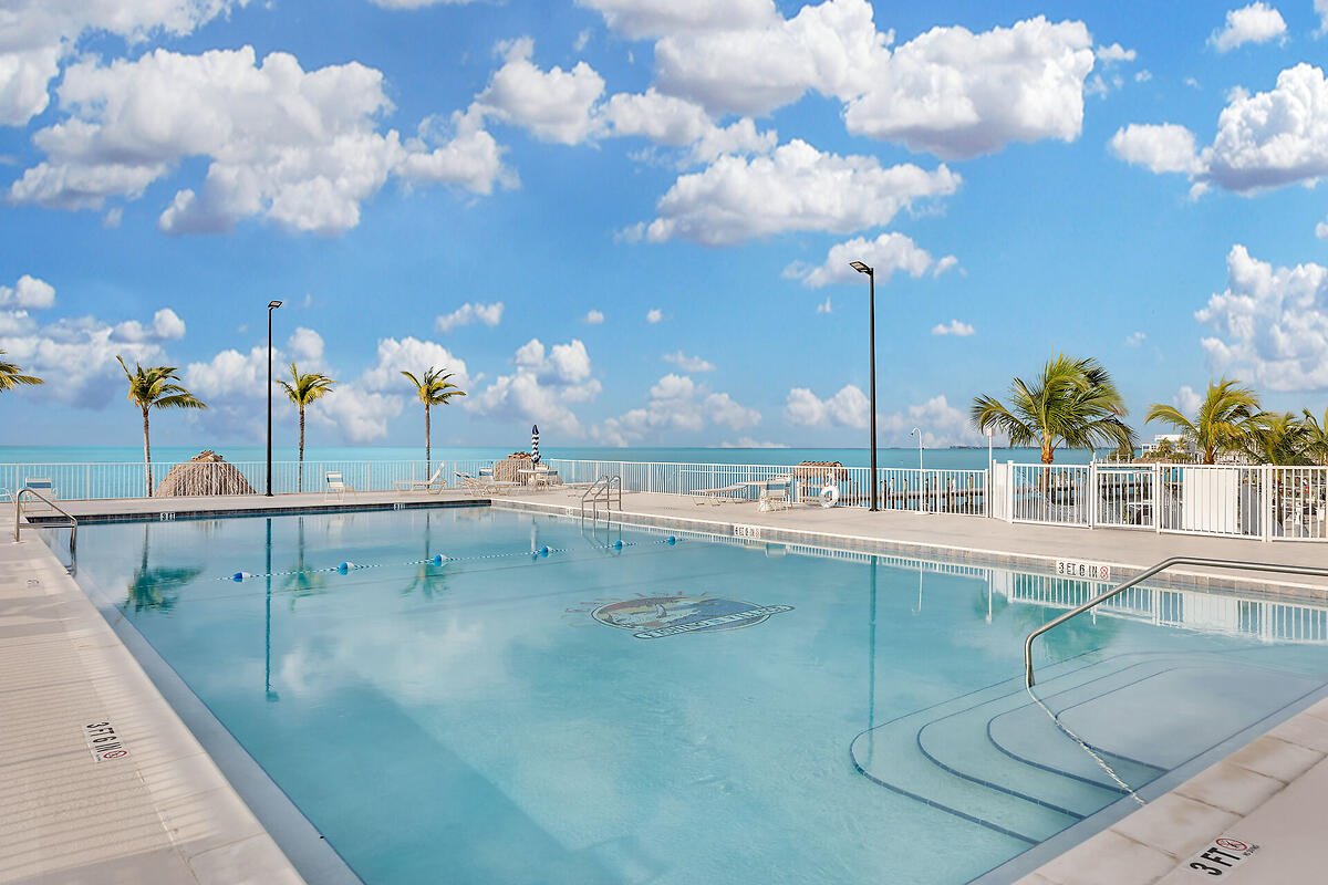 Dolphin Paradise