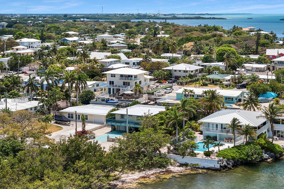 Grouper Oasis
