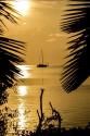 sunset view