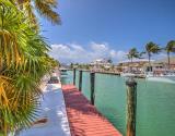 Dockage
