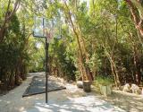 Basketball Hoop
