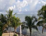 Views from the master porch