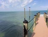 New Dock