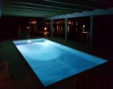Evening Swim