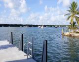 swim ladder