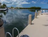 Dockage