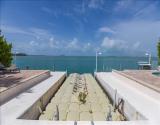 Floating Dock